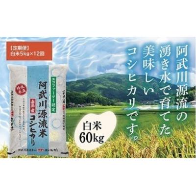 ふるさと納税 山口市 【定期便】阿武川源流米コシヒカリ白米60キログラム(5キログラム×12回) A094