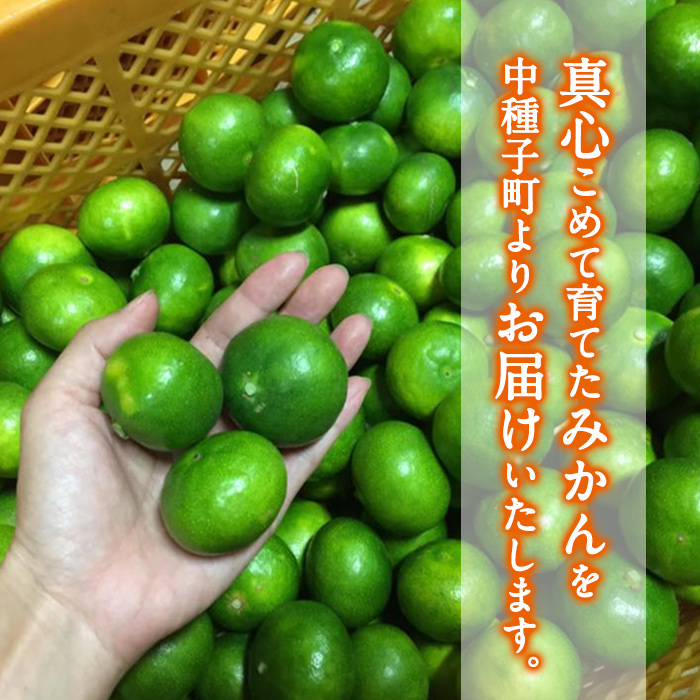 n132 【数量限定】＜先行予約受付中！2025年9月上旬～10月下旬頃に順次発送予定＞鹿児島県種子島産！極早生温州みかん(約3.5kg) 国産 蜜柑 ミカン 柑橘 サイズ大小混合 果物 フルーツ く