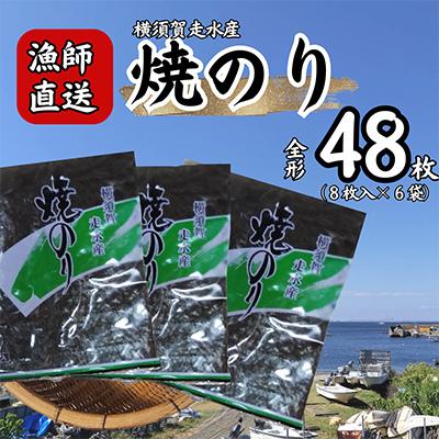 ふるさと納税 横須賀市 【訳あり】欠け　海苔 全形8枚×6袋(全形48枚) 漁師直送 上等級 焼海苔