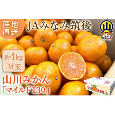 【ふるさと納税】山川みかん マイルド130(4kg)【1557738】