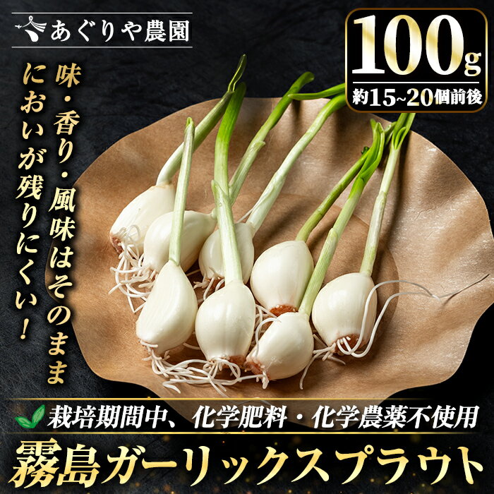 【ふるさと納税】霧島ガーリックスプラウト 100g (約15～20個前後入り) 国産 霧島産 野菜 にんにく ニンニク ガーリック 加工品 【あぐりや農園】