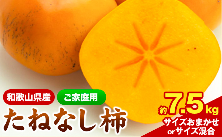 【秋の味覚】＜先行予約＞ 和歌山 産 の たねなし 柿  ご家庭用 約 7.5kg 厳選館 《2026年9月上旬-11月上旬頃出荷》 和歌山県 日高川町 柿 カキ かき ジューシー フルーツ たねなしst-p
