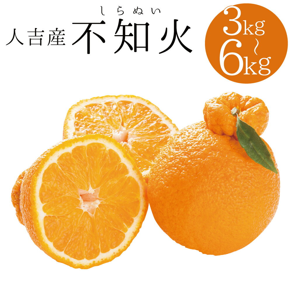 【ふるさと納税】人吉産 不知火 しらぬい 約3kg/約6kg 選べる内容量 柑橘類 熊本 果物 フルーツ 送料無料 【2026年1月上旬～2月上旬に順次発送予定】
