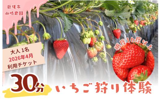 山崎農園いちご狩り　1名分チケット（2026年4月実施分） ／ いちご 苺 イチゴ ストロベリー いちご狩り イチゴ狩り 苺狩り フルーツ狩り 体験 チケット とちおとめ 紅ほっぺ 果物 フルーツ