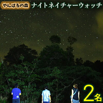 【ふるさと納税】やんばるの森　ナイトネイチャーウォッチ　2名様 やんばる ナイトツアー アドベンチャー 冒険 探検 満天の星空 夜の森 ガイド付き 世界自然遺産 希少生物 やんばる国立公園 亜熱帯 ジャングル 安心 手軽に参加 非日常 特別