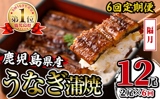 i938-B ＜定期便・計6回(隔月)＞鹿児島県産うなぎ蒲焼2尾セット＜(約140g×2・計約280g)×全6回＞ 定期便 うなぎ 鰻 ウナギ 2尾 蒲焼き 国産 鹿児島県産 焼きたて 生産量日本一 