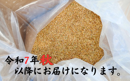 もみがら ３kg 岩美町産 先行予約 お届けは2026年秋～｜鳥取 岩美町 籾殻 すくも 土壌改良 家庭菜園【34001】