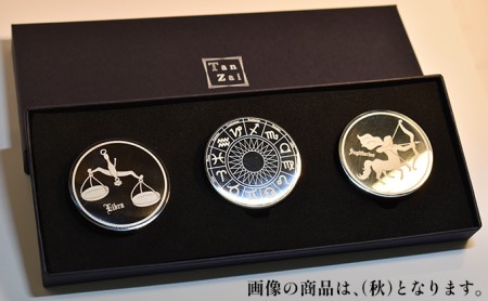 コイン型のアイスキューブ（夏） 雑貨 日用品 アイスコイン 氷 ステンレス 化粧箱 