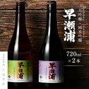 【ふるさと納税】【早瀬浦】大吟醸 さかほまれ 720ml × 1本 ＆ 純米吟醸 さかほまれ 720ml × 1本 セット【飲み比べ 日本酒 地酒 福井 美浜 早瀬 フルーティ 男酒 硬水 ミネラル 希少 ご褒美 家飲み 就職祝い 転職祝い ハレの日】 [m16-b005]