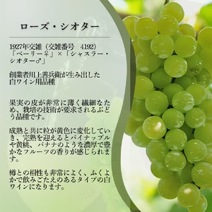 ワイン 岩の原スパークリングワイン ブラン・ド・ブラン ローズ・シオター（750ml） 酒 ギフト 新潟 上越