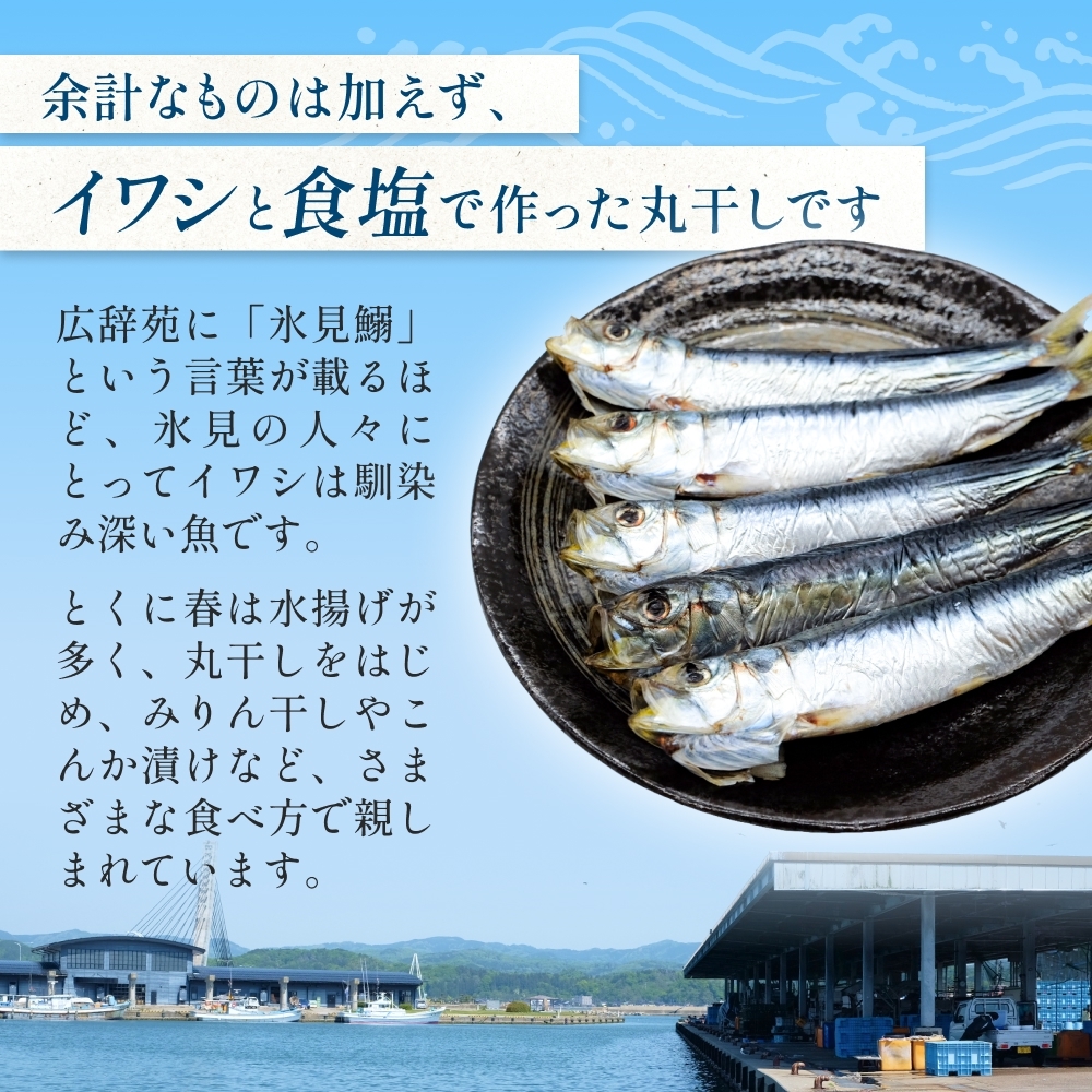 いわし丸干し（7尾） × 8セット 〈冷凍〉 _イメージ2