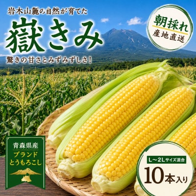 とうもろこし 朝採り 嶽きみ(だけきみ) 10本 L～2Lサイズ 冷蔵【配送不可地域：離島・沖縄県・九州】