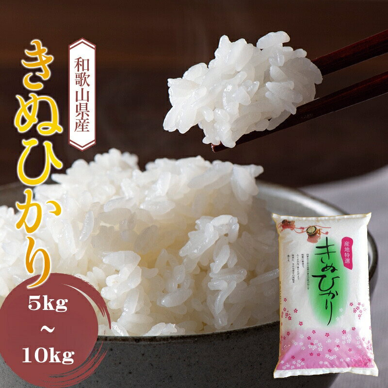 【ふるさと納税】 米 キヌヒカリ 新米 (2025年産) 和歌山県産 / 米 こめ 白米 精米 ご飯 ごはん 産地直送 ※2025年9月中旬頃より順次発送予定 //vegi