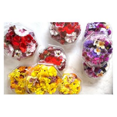 ふるさと納税 伊勢原市 農家直送!加藤さんちのエディブルフラワー 12ポット鉢植え 観賞用 食用 トッピング |  | 02