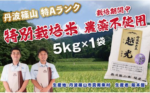 【令和7年産】丹波篠山産　特別栽培米　越光（農薬不使用）（5ｋｇ×1袋） 兵庫県 丹波篠山市 白米 100％単一原料米 産地直送米 贈答 おいしい お米 精米 コシヒカリ ブランド おこめ 健康 ギフト 内祝い 贈り物 送料無料 おすすめ 人気 口コミ