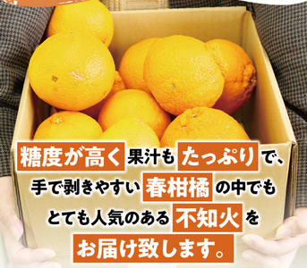 訳あり 不知火 約3.5kg +痛み保証分 大小混合 家庭用 ご家庭用 訳アリ わけあり みかん ミカン フルーツ 果物 くだもの 不知火 しらぬい 蜜柑 柑橘 人気 予約 先行予約 数量限定〈202