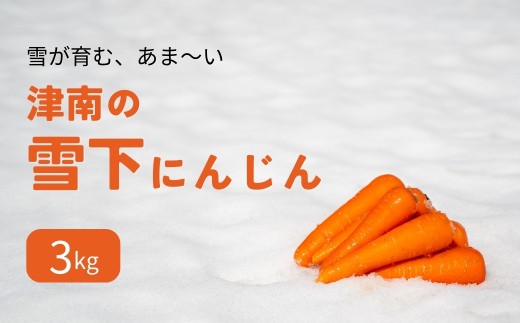 【令和8年産先行予約】津南の雪下にんじん 3kg 新潟県 津南町