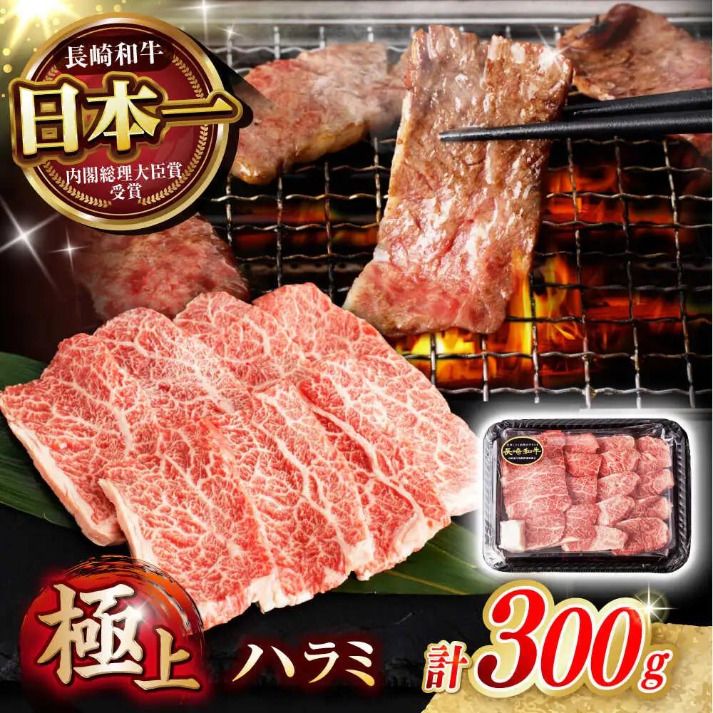 長崎和牛 A5 ハラミ 300g AHCW115 ハラミ