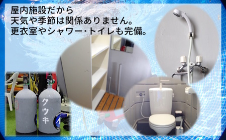 ダイビング体験 3時間 1名様 ダイビング専用プール スキューバダイビング 千葉 スクーバダイビング 体験ダイビング アクティビティ PADIダイビングスクール おすすめ 初心者歓迎 プール 関東 遊