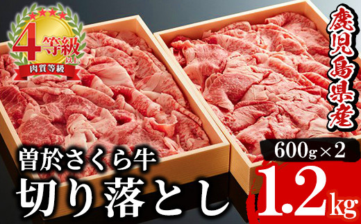 
希少！曽於さくら牛 切り落とし1,2kg(600g×2箱) 黒毛和牛 切り落とし 冷凍【福永産業】B61-v01
