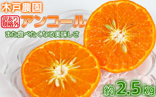 
            【訳あり・規格外品】木戸農園のアンコール 約2.5kg オレンジ みかん ミカン 柑橘類 フルーツ ＜113-001_5＞
          