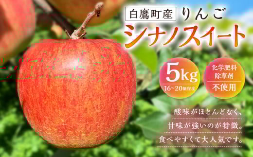 白鷹町産りんご （シナノスイート） 5kg りんご 林檎 果物 くだもの フルーツ 旬 シナノスイート 国産 山形県 白鷹町 【2025年9月下旬～10月上旬発送予定】