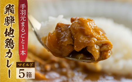 飛騨地鶏カレー 5袋 レトルト パウチ チキンカレー 手羽元 [DK012]