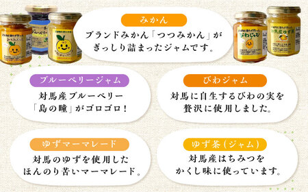 対馬の フルーツジャム 6本(3種類以上)セット《対馬市》【対馬コノソレ】フルーツ 果肉 詰め合わせ ジューシー 朝食 食べ比べ 島の瞳 ゆず ジャム ソース[WAM019] コダワリジャム こだわり