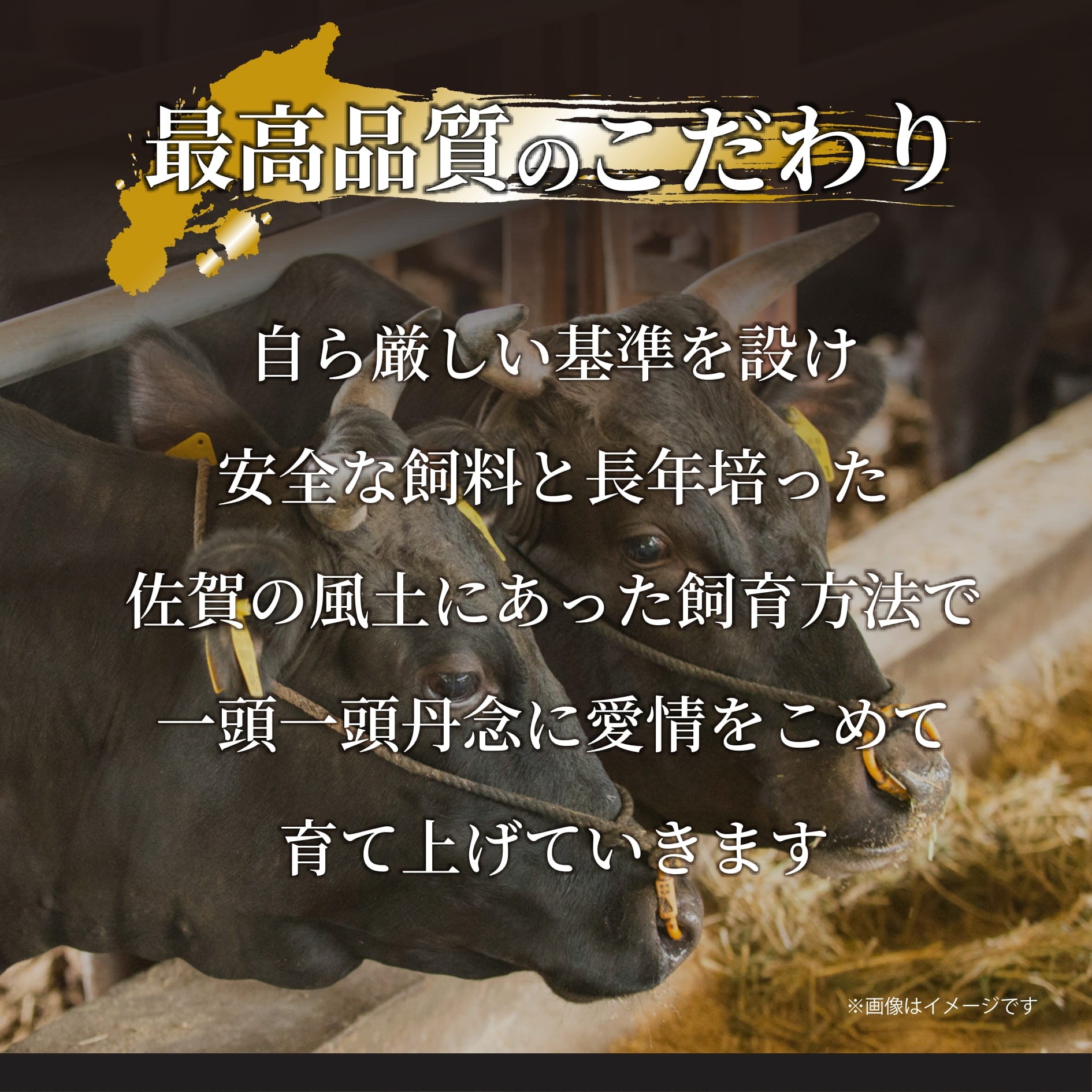 画像はイメージです。