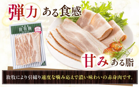 放牧豚 ベーコンスライス 計650g（65g×10） 豚肉 加工品 無添加 無塩せき 北海道 [AXBA111]