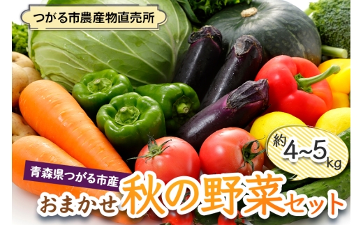 つがる市産 おまかせ秋の野菜セット 約4kgから5kg｜旬の野菜 秋 野菜セット おまかせ 詰め合わせ 産直 産地直送 新鮮 冷蔵 ギフト サラダ 青森 つがる 令和8年産 2026年産 [1007]
