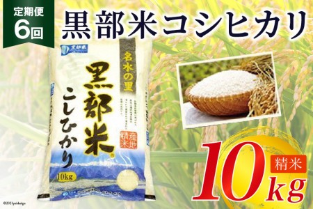 定期便 米 黒部米 コシヒカリ 10kg×6回 総計60kg 精米 白米 こしひかり お米 /黒部市農業協同組合/富山県 黒部市