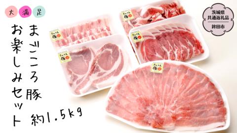 大満足！まごころ豚 お楽しみ セット 約1.5kg（茨城県共通返礼品 鉾田市） ブランド豚 銘柄豚 豚肉 モモしゃぶしゃぶ 肩ロース バラ ロース こま切れ 焼肉 仲田精肉店 [DB001sa]