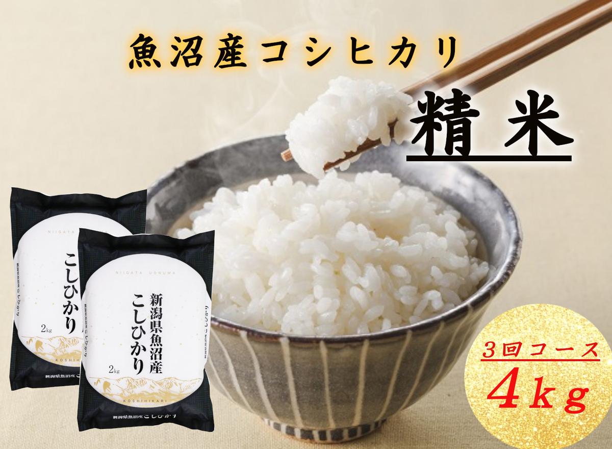 T-11【令和7年産 頒布会】魚沼産コシヒカリ 4kg×全3回米 コメ こしひかり 精米 ブランド米 お取り寄せ 十日町市
