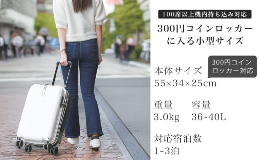 [PROEVO]ファスナーキャリー スーツケース ストッパー付き 機内持ち込み Sサイズ (エンボス/アイボリー) [10002S] 福岡県 大木町 株式会社 レクサス AY338 エンボス/アイボリ