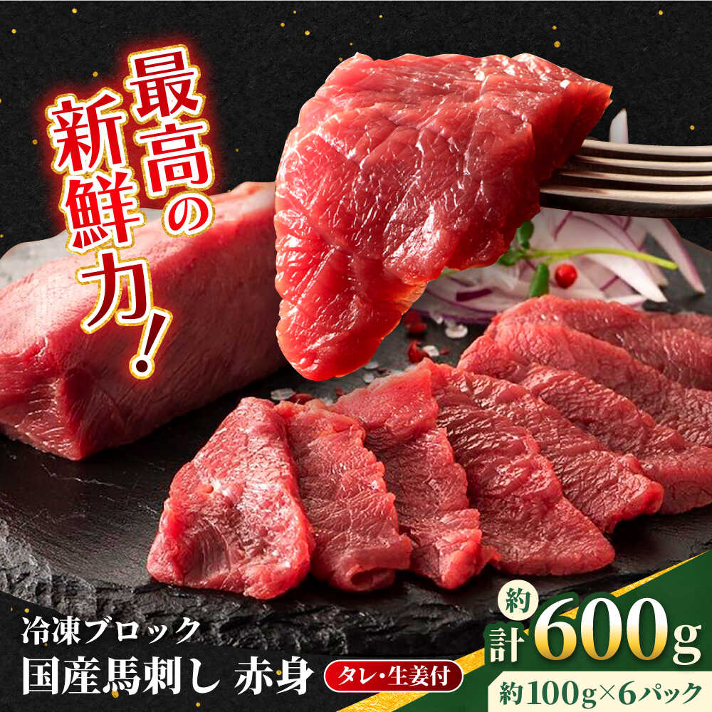 【ふるさと納税】【フジチク】国産 馬刺し 赤身 約100g×6個（計約600g）赤身 馬刺し タレ付き 馬肉 熊本県 合志市 【亀井通産 株式会社】[AYBQ047]