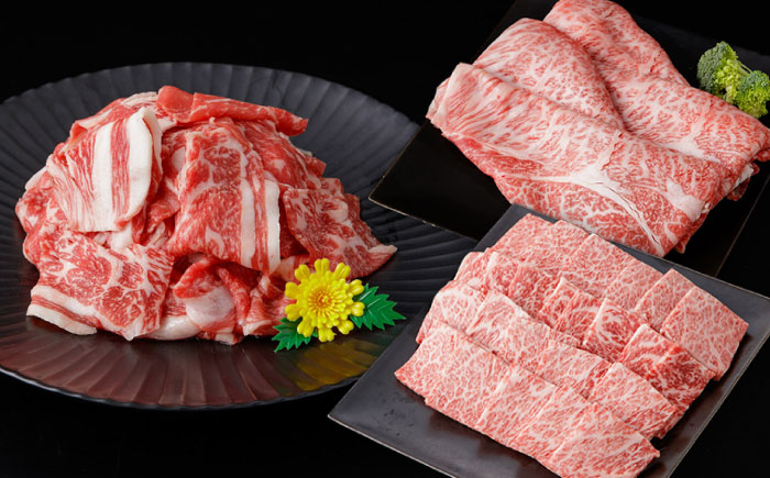 簡単調理! お肉の詰め合わせ 総計約4.7kg 牛肉 鶏肉 豚肉 国産 小分け 食べ比べ 【(有)山重食肉】 [ATAP009]