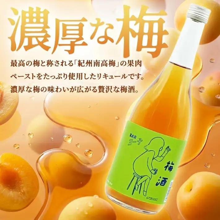 SB0899　酒田の酒屋厳選　楯の川 BARヨー子 梅酒プレミアムリッチ　720ml×2本