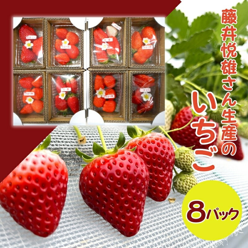 【ふるさと納税】藤井悦雄さん生産の いちご 8パック [ フルーツ 果物 イチゴ 苺 ] ジャム ストロベリー 　お届け：2026年1月中旬～2026年4月下旬