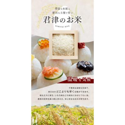 ふるさと納税 君津市 【令和7年度産】君津市産ふさこがね　精米　10kg(5kg×2袋) |  | 01