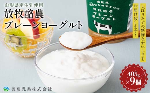 【奥羽乳業】山形県産生乳使用！ 放牧酪農プレーンヨーグルト 405g×9個 セット F2Y-6545