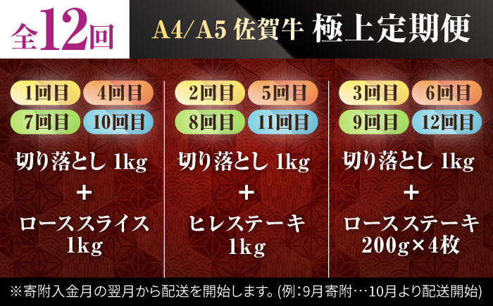 【肉のプロが厳選！】【全12回】佐賀牛 極上定期便【株式会社いろは精肉店】 [IAG079]