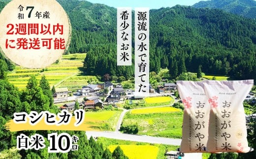 《令和7年産新米受付開始》　白米 10kg 令和7年産 コシヒカリ 岡山 「おおがや米」生産組合 G-ag-AEFA