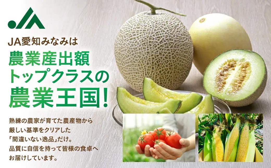 【先行予約】伊良湖 温室みかん 2kg みかん フルーツ