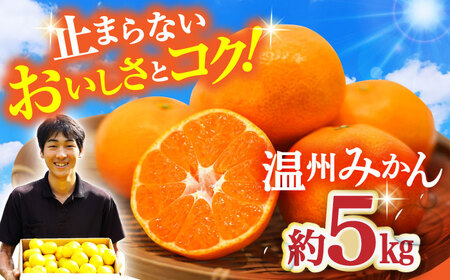 〈先行予約〉【11月中旬頃～1月中旬配送】長崎県産 温州みかん 約5kg / みかん 柑橘 5kg フルーツ 果物 / 大村市 / 山光農園[ACAI002]