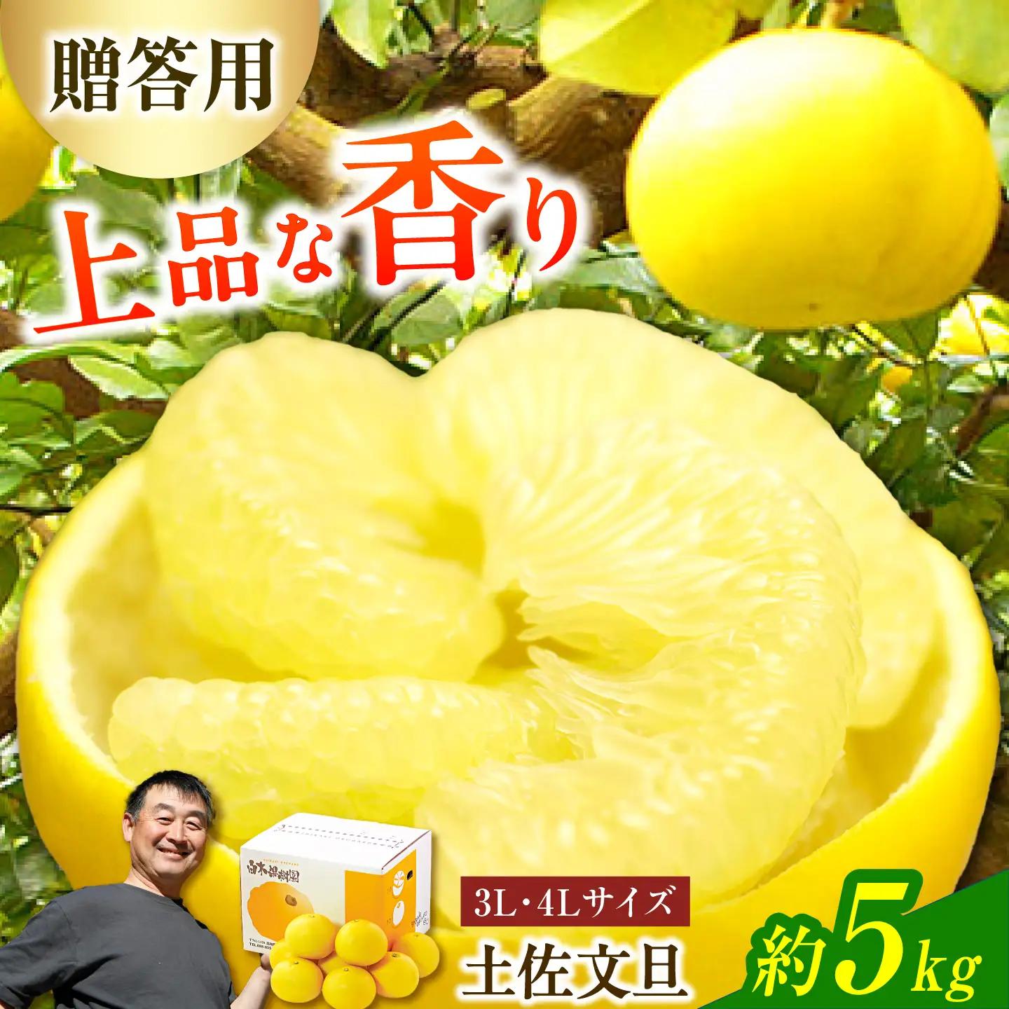【先行予約】【果樹園直送】土佐文旦 特選品贈答用 約5kg 3Lから4Lサイズ 7から8個入り〈2027年2月中旬から3月中旬頃発送〉高知県 土佐市【白木果樹園】 [BQAI001]