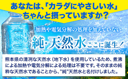 【6ヶ月定期便】熊本イオン純天然水 ラベルレス 2L×20本 《申込み翌月から発送)》2l 水 飲料水 ナチュラルミネラルウォーター 熊本県 玉名郡 玉東町 完全国産 天然水 くまモン パッケージ