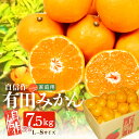 【ふるさと納税】自信作 有田みかん 7.5kg L～Sサイズ混合 【訳あり 家庭用】【ミカン 蜜柑 柑橘 温州みかん 有田みかん 和歌山】