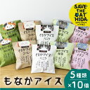 【ふるさと納税】2022年にゃんにゃん手焼き最中アイスセット 10個 バニラ 抹茶 あん抹茶 いちご コーヒー お菓子 スイーツ ギフト モナカ 詰め合わせ (保護猫 飛騨 SAVE THE CAT HIDA支援) 猫 ねこ プレゼント ギフト かわいい [neko_j7]お中元 ギフト 御中元