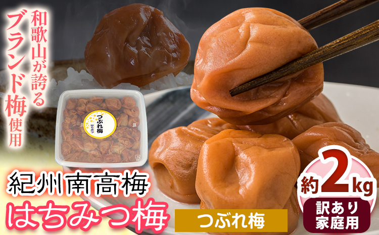 《加工食品カテゴリ上位ランクイン！》南高梅 はちみつ 梅 紀州南高梅 つぶれ 梅干し 2kg 有限会社プラム《30日以内に出荷予定(土日祝除く)》和歌山県 日高町 送料無料 梅 うめ ウメ 南高梅 つぶれ梅 蜂蜜 紀州 梅干し訳あり梅干しつぶれ梅干しはちみつ梅干しウメボシ梅干し訳あり梅干し紀州梅干し蜂蜜梅干し